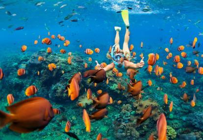 Bali - Plongée Plongée en Indonésie - Escapade à Bali