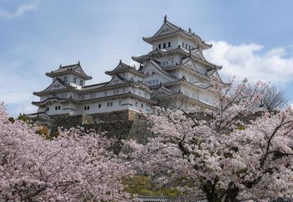 Hyōgo - Himeji Castle Circuit au Japon - Le Temps des Cerisiers au Japon - 15 Jours / 14 Nuits