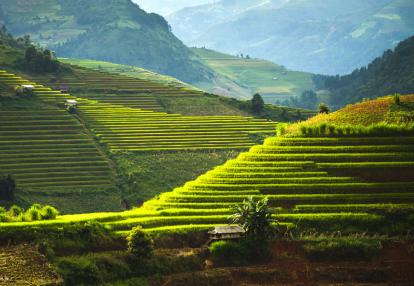 Ifugao rice terraces Voyage aux Philippines - Ephémère Ifugao