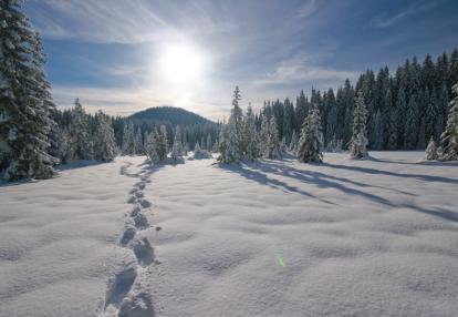 Pokljuka Voyage en Slovénie - Séjour Raquette et Photo