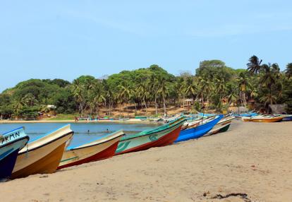 rugam Bay Voyage au Sri Lanka : L'Essentiel du Sri Lanka
