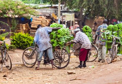 Tanzanie Marché Voyage en Tanzanie - Les Cultures de Tanzanie du Nord