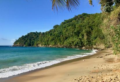 Trinité et Tobago Séjour à Trinité et Tobago - La Facette Sauvage de la Caraïbe