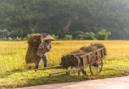 Lac Village Voyage au Vietnam : Découverte du Nord Vietnam