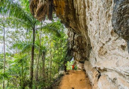 Topes de Collantes National Park Voyage à Cuba - Randonnée Cubaine