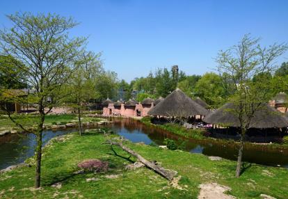 Pairi Daiza - village Tamberma Voyage au Togo - Circuit Écotourisme