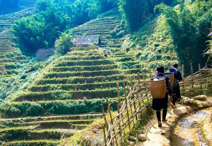 Sapa Hike Voyage au Vietnam - Trek dans le Nord, Rizières et Villages Ethniques