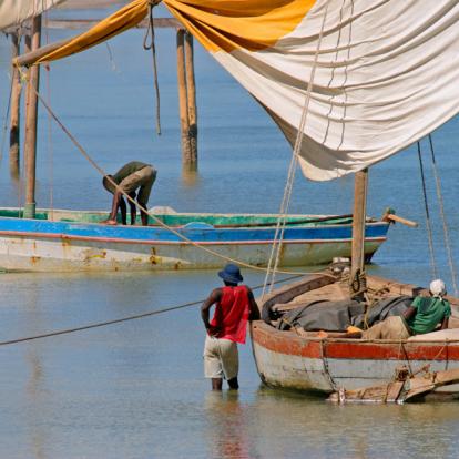 Voyage en Afrique du Sud : Classic Africa