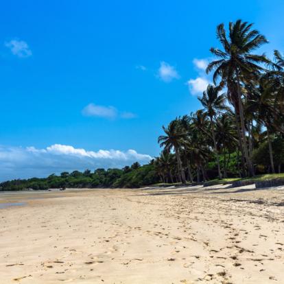 Voyage en Afrique du Sud : Classic Africa