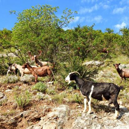 Voyage en Albanie: Alpes et Traditions du Nord de l’Albanie