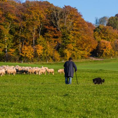 Voyage en Albanie: Découverte des paysages montagneux et excursion balnéaire dans le sud