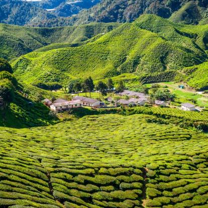 Voyage en Malaisie : Terre de Contrastes