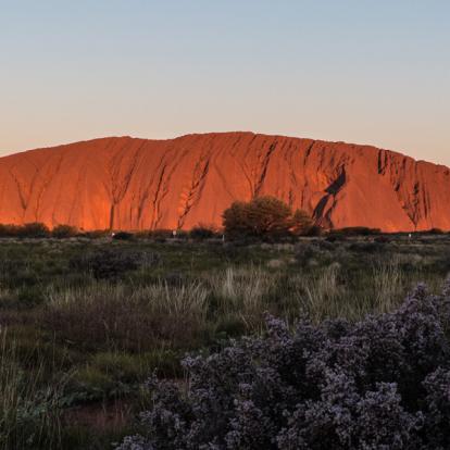 Voyage en Australie - La Grande Traversée...