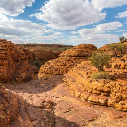 Voyage en Australie - Natures d'Australie