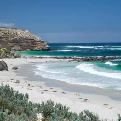 Circuit en Australie - Routes du Sud Australien