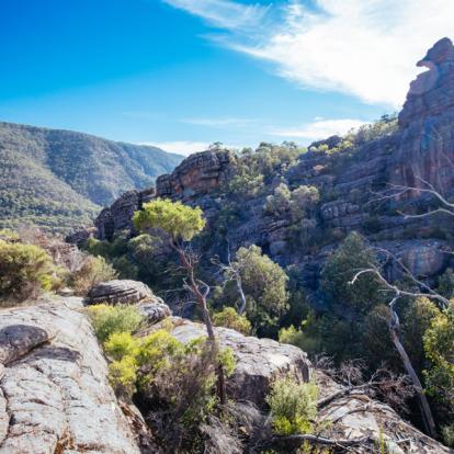 Voyage en Australie - Routes du Sud Australien