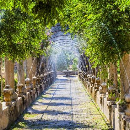 Circuit aux Baléares : Gastronomie & Traditions