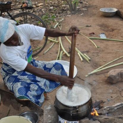 Voyage au Bénin : Escapades au Lac Ahémé