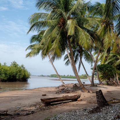 Séjour au Bénin : Voyage dans l'Ouest Africain