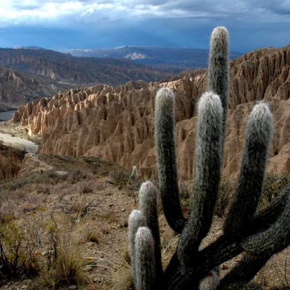 Voyage en Bolivie : Découverte des Andes et de l'Altiplano