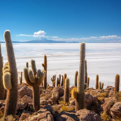 Voyage en Bolivie : Découverte des Andes