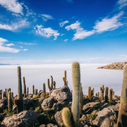 Voyage en Bolivie : Entre Déserts et Lagunes