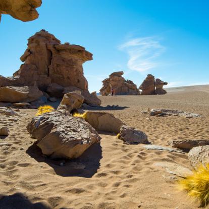 Circuit en Bolivie : Entre Déserts et Lagunes