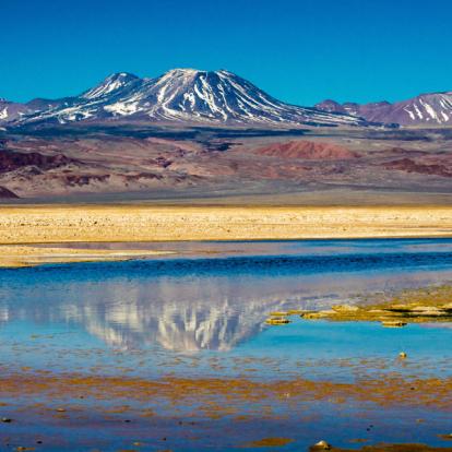 Circuit en Bolivie : Entre Déserts et Lagunes