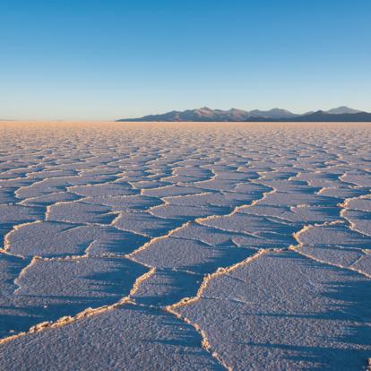 Circuit en Bolivie : Entre Déserts et Lagunes