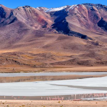 Voyage en Bolivie : Entre montagnes et désert, sur les sentiers de la Bolivie