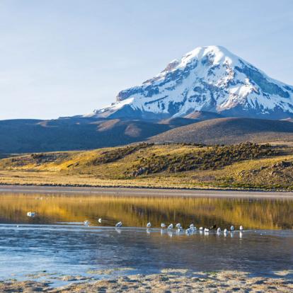 Voyage en Bolivie - Grands Parcs Boliviens