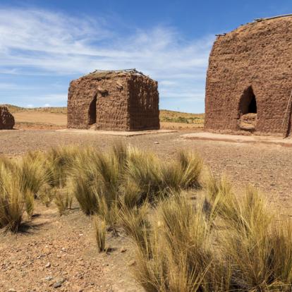 Voyage en Bolivie - Grands Parcs Boliviens