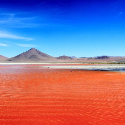Voyage en Bolivie - Grands Parcs Boliviens