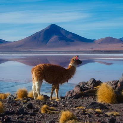 Voyage en Bolivie : Les Incontournables en Bolivie
