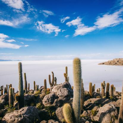 Voyage en Bolivie : Sur les traces des peuples des Andes