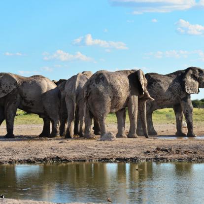 Voyage au Botswana : Les Déserts du Botswana
