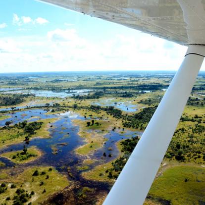 Delta Okavango Voyage au Botswana - Au royaume des Elephants