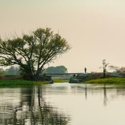 Maun - Thamalakane River Voyage au Botswana : Safari Guidé au Botswana