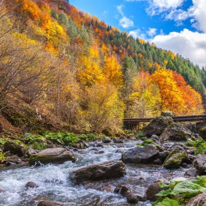 Voyage en Bulgarie - Nature et Culture en Bulgarie