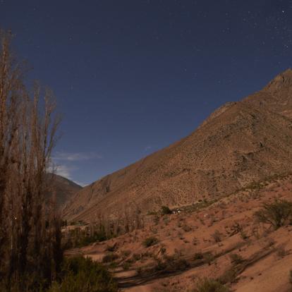 Voyage au Chili : Hauts plateaux et constellations d'étoiles