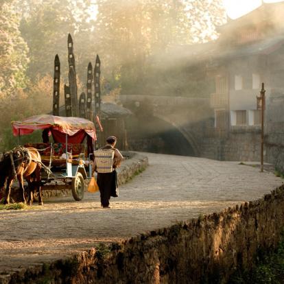 Voyage en Chine : Yunnan Eternelle