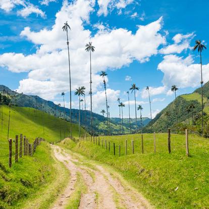Voyage en Colombie: Colombie Aventure