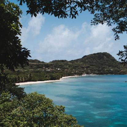 Voyage en Colombie: Culture du café à la Saveur Caribéenne