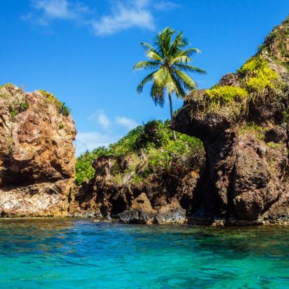 Circuit en Colombie: Culture du café à la Saveur Caribéenne