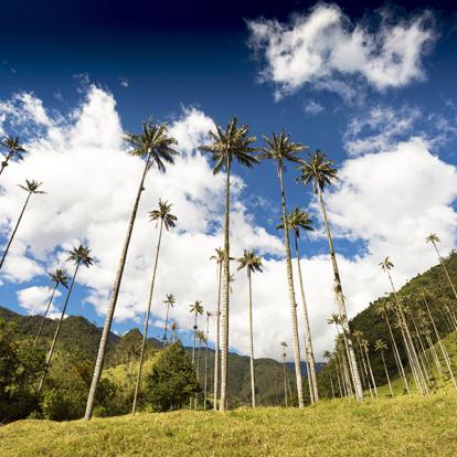 Voyage en Colombie - L'essentiel de la Colombie