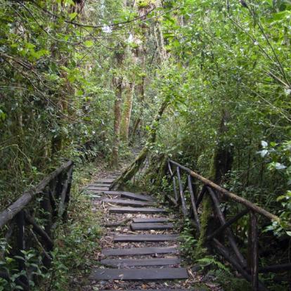 Circuit en Colombie: Les Sentiers Inconnus de Colombie