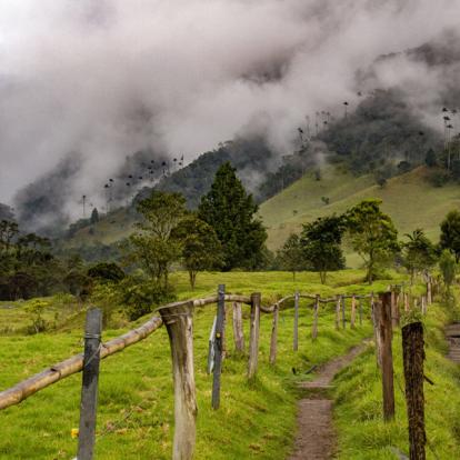Circuit en Colombie: Les Sentiers Inconnus de Colombie