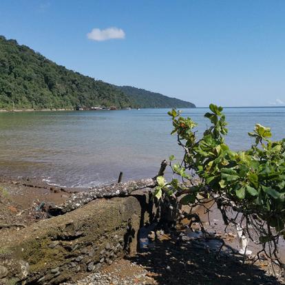 Voyage en Colombie - Trésors de Colombie