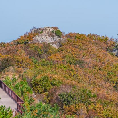 Voyage en Corée du Sud : Trekking Tour
