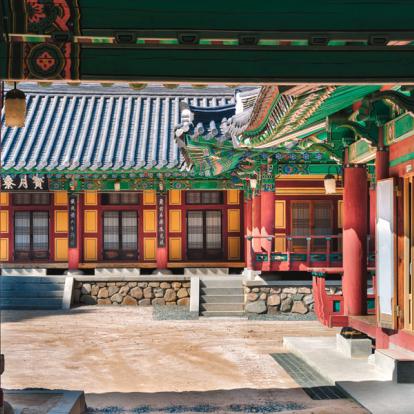 Circuit en Corée du Sud : Gyonsangdo Tour
